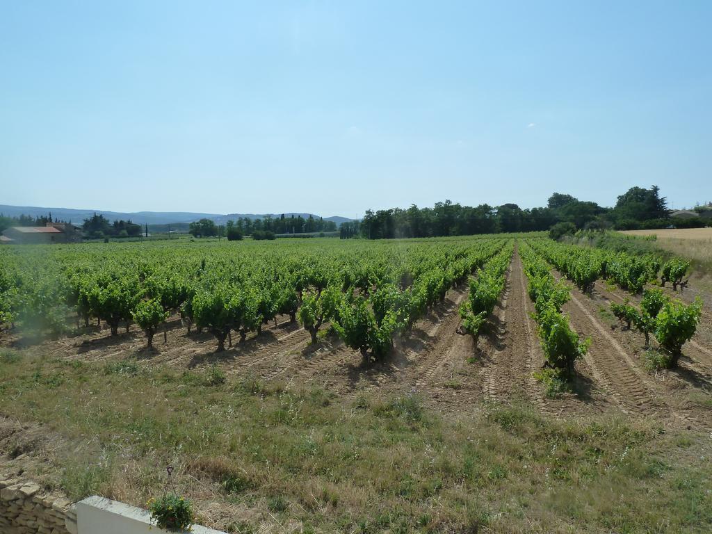 La Vigne Villa Saint-Just  Cameră foto